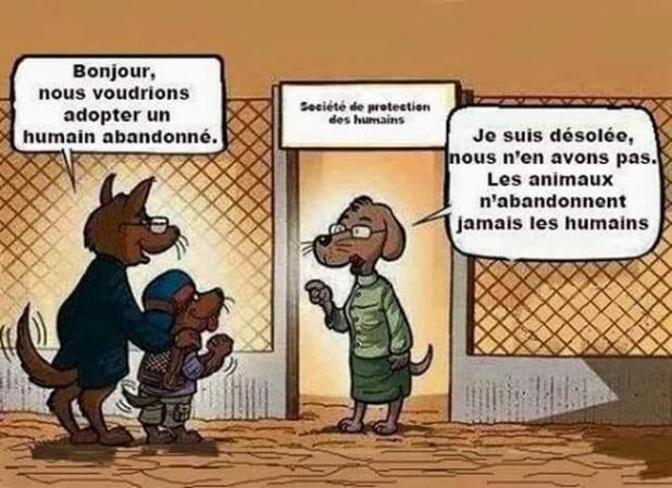 Abandons humains