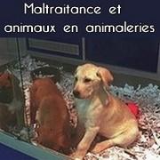 Animaux en animaleries