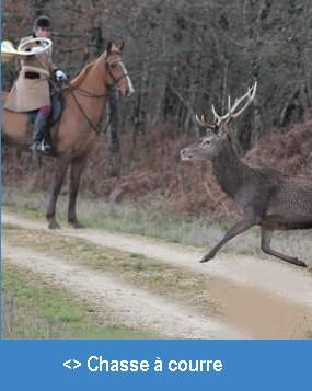 Chasse a courre 3