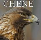 Chene