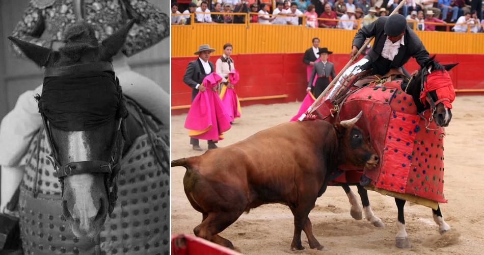 Cheval corridas