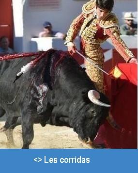 Corridas 5