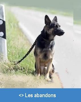 Les abandons 3