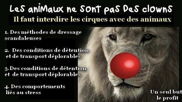 Les animaux ne sont pas des clowns