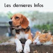 Les dernieres infos