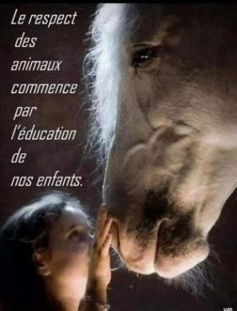 Les enfants et les animaux