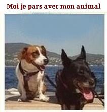 Moi je pars 4