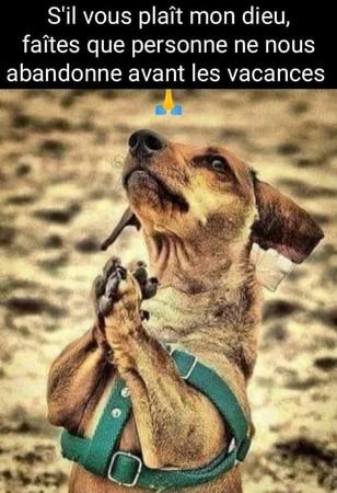 Ne m abandonne pas