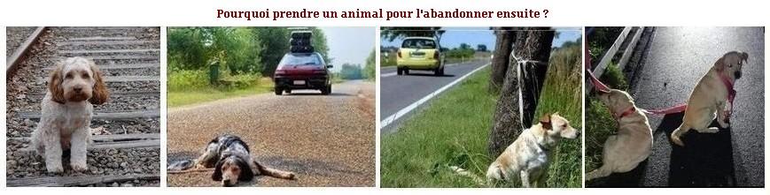 Pourquoi prendre 2