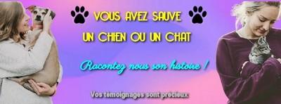 Vous avez sauve